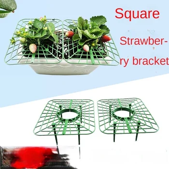 Jahoda podporu balkón črepníkové pestovanie ovocia zelená výsadba zásobník podporu anti-korózne hnilé záhradníctvo pevných spojov